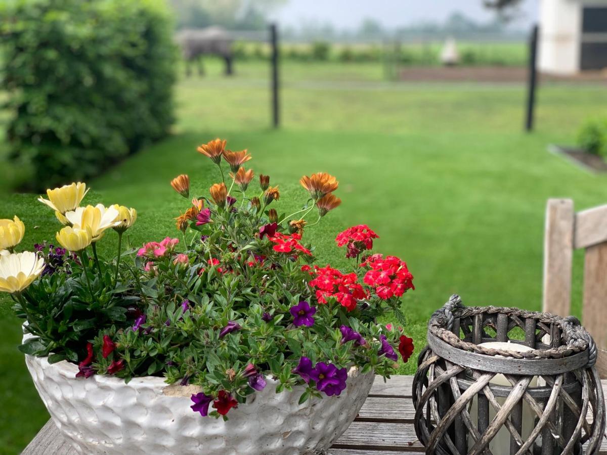 Bed & Breakfast Heitse Heythuysen Bagian luar foto